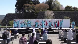 篠山よさこい2016　北摂よさこい一座磨人　三の丸会場　4ｋ