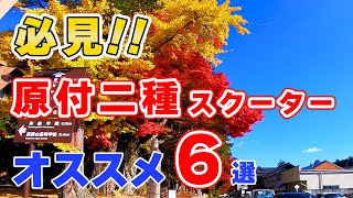 【原付二種】バイク通勤に適したオススメスクーター6選【125CC】