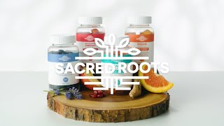 Holistic Supplements for a Healthier Life - Sacred Roots