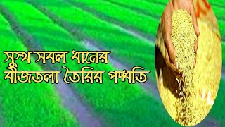 সুস্থ সবল ধানের বীজতলা তৈরি করুন এইভাবে ¶¶ ধান বীজ উৎপাদন পদ্ধতি