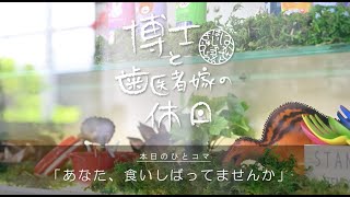 あなた、食いしばってませんか？【やなぎはらTV】博士と歯医者嫁の休日13