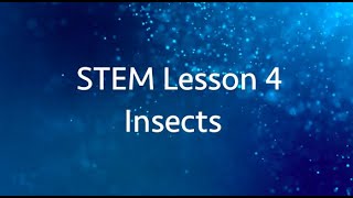 STEM Lesson 4 - Insects