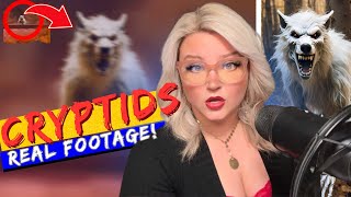 5 CRYPTIDS Caught on Camera that will DEFINITELY Give You NIGHTMARES | *Extremely CREEPY Footage*