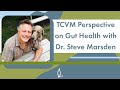 TCVM Perspective on Gut Health with Dr. Steve Marsden