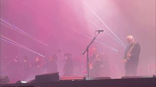 David Gilmour - Comfortably Numb - Hollywood Bowl Front Row Halloween 10/31/2024