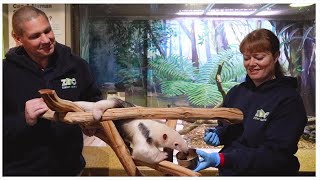 HealthWish, A Day At The Zoo