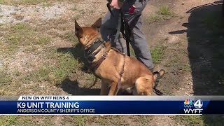 An inside look at the Anderson County Sheriff's Office K9 Unit's special role in law enforcement