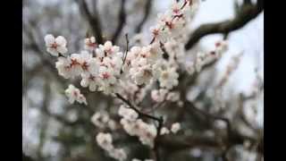 平岡公園　2014年５月８日