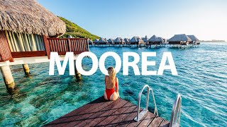 ULTIMATE MOOREA FRENCH POLYNESIA TRAVEL GUIDE (WHALES, OVERWATER BUNGALOWS & TOP THINGS TO DO)