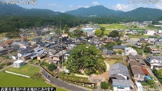 佐賀ドローン（06武雄市　樹齢3000年川古の大楠　街並みドラレコ付き）