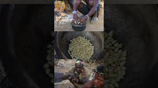 Roasting Corn For Breakfast With Hadzabe Tribe