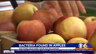 apples with bacteria