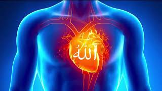 Zikr Allah  40 Minutes   That will clean your soul and heart