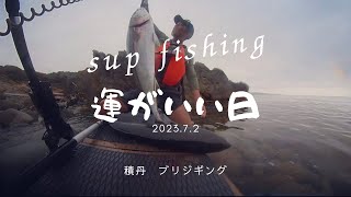 積丹 ブリジギング supfishing⑦ 運がいい日