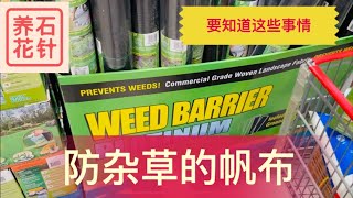 防杂草的布，在花园里有用吗？买之前，最好知道的几件事 - weed barrier fabric