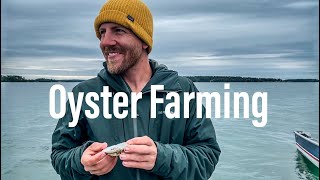 Oyster Farming, the raw untold story behind the oyster 🦪