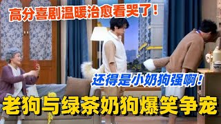 老狗与绿茶奶狗爆笑争宠！高分喜剧温暖治愈看哭了！#喜剧大会 #一年一度喜剧大赛 #郭麒麟 #综艺 #喜剧 #喜人奇妙夜 #李川