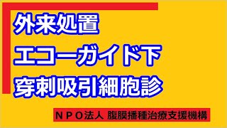 外来処置　エコーガイド下穿刺吸引細胞診