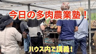 【多肉植物】【ガーデニング】【農家】【農業】【農園】【ファーム】今日の多肉農業塾👩‍🌾　　多肉大好き！なりちゃんパパ