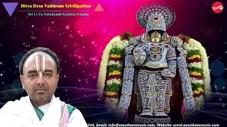 Dhivya Desa Vaibhavam (Srivilliputhur) || U Ve Velukkudi krishnan || Celebrating Margazhi of 2024