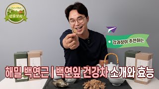 #만물상회_ #백연근차 #백연잎차의 엄청난 효능 이젠 알고 먹자~~