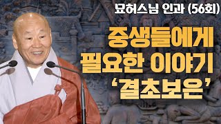 중생들은 1인 3역을 기본적으로 하고 있다 [묘허스님의 인과 56회]