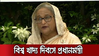 'কৃষি খাতে প্রণোদনার কারণে দেশে খাদ্য সংকট হয়নি' | PM World Food Day