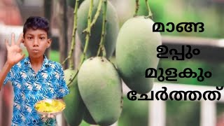 മാങ്ങ ഉപ്പും മുളകും ഇട്ടത് | #mango