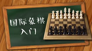 国际象棋入门第3集 | 棋谱的记录【VIPChess西洋棋】