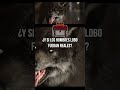 ¿Y si los HOMBRES LOBO fueran REALES? #cultura #leyendas #hombrelobo #monstruos #vampiros