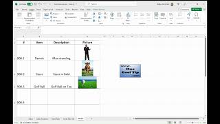 Insert Picture Inside a Microsoft Excel Cell