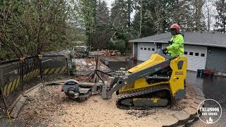 Stump Grinding in Close Quarters | 2 Minute Highlights