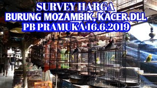 Playtube Pk Ultimate Video Sharing Website