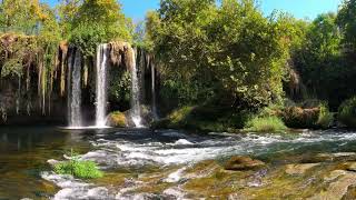 10 hours of Soothing Beautiful Water Falls, Singing Birds, Nature Sound, Relaxing Ambience #Sleep