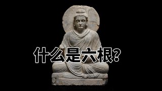 第八百零二章 什么是六根？完全读懂巴利文大藏经（802）