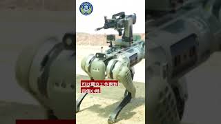 中國軍隊展示背步槍的機器狗－ BBC News 中文