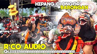 KANG CIPUT ROGO SAMBOYO PUTRO, KEPANG CLONGOR BARONGAN JARANAN MONY BUDOYO Ft MANGGOLO CAHYO MUDO