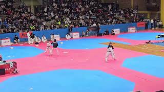 Croatia open G-1 taekwondo Zagreb - Korea demo team