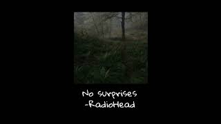 No Suprises - RadioHead instrumental  (sped up + pitched)