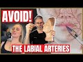 Lip Injection Techniques to Avoid the Arteries | Vertical or Horizontal?