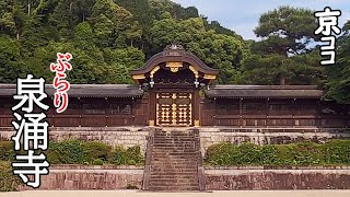 【京都おすすめ】圧倒的！　ぶらり泉涌寺【京のココ見といやす】【Japan Travel・Kyoto Sightseeing】