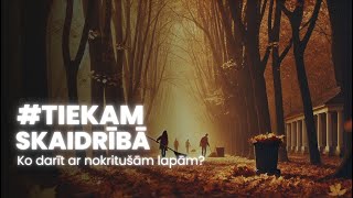 #TiekamSkaidrībā: Ko darīt ar nokritušām lapām?