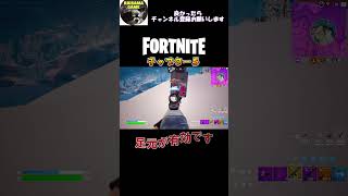 盾は足元丸出し【フォートナイト/Fortnite】#shorts  #フォートナイト #fortnite