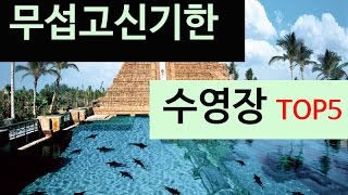 (랭킹박스)무섭고신기한 수영장 TOP 5