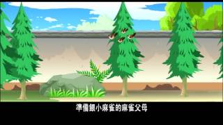 ❤  《爱护生命的故事》 陷害幼鳥 有子難活 高清版