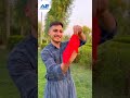 کۆکراوەی ڤیدۆکانی سەلمان بەشی یەکەم بەزمەکانی سەلمان لە تیک تۆک 😂