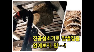 진공청소기로 말벌집을 제거해보자,반전있음#유해곤충제거#말벌집#진공청소기#인디언시인#지리산수담#벌집내부#야간벌집#애벌레#말벌포집#말벌유충#30만조회#bee#wasp#hornet