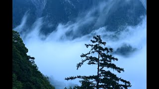 台灣之美--清晨看雲、聽鳥鳴.輕鬆自在的散步  Encounter celestial sounds among the clouds.