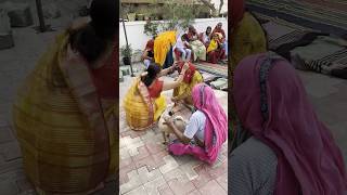 Bhua tel chdate #haldi #haryanviculture #haryanvi #haryana #haryanvivlogs #trending #viral #vlogs