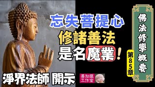 淨界法師：忘失菩提心，修諸善法，是名魔業 - 最終結果：墮落惡道！ | 《佛法修學概要》 85